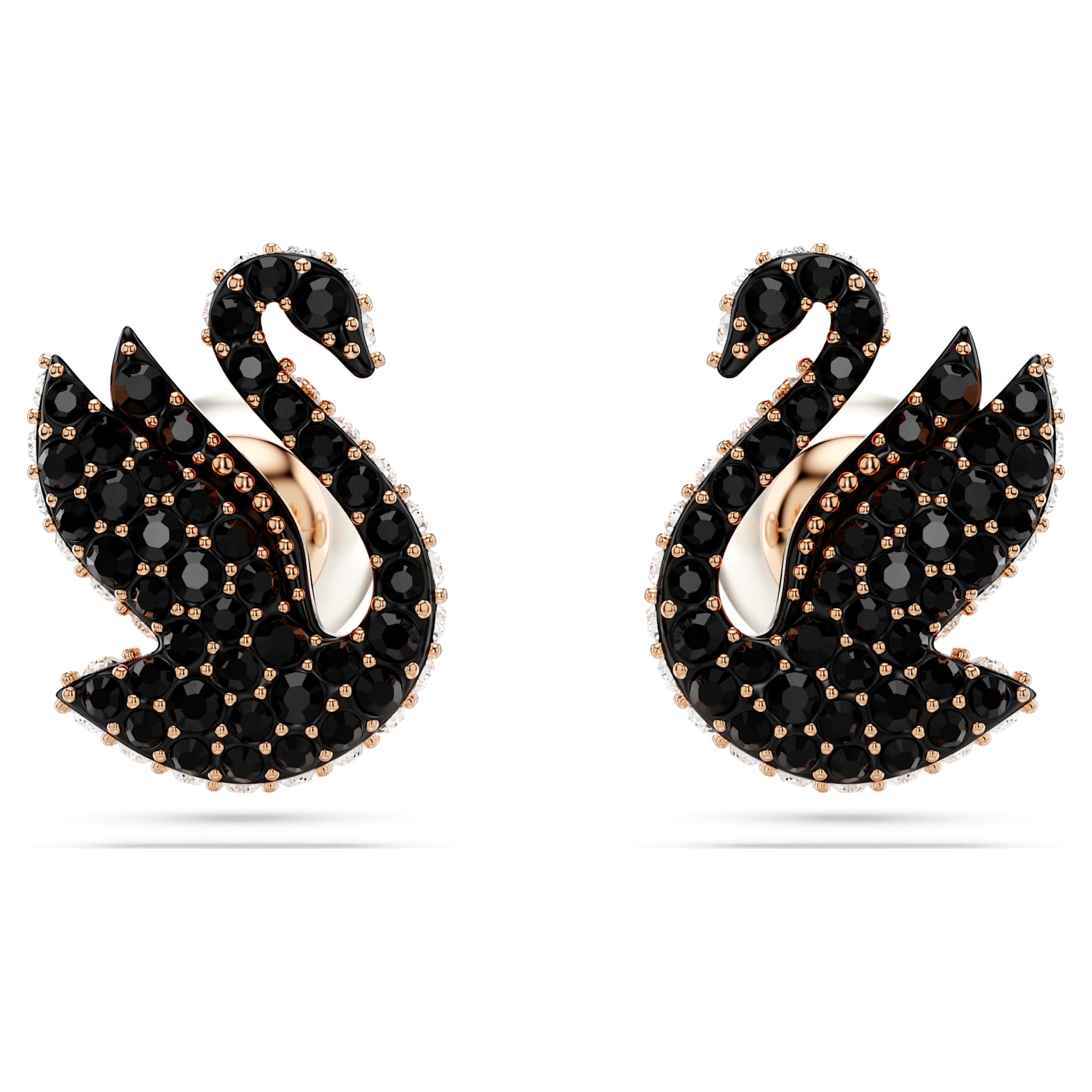 עגילי Swan בציפוי רוז גולד מבריק SWAROVSKI