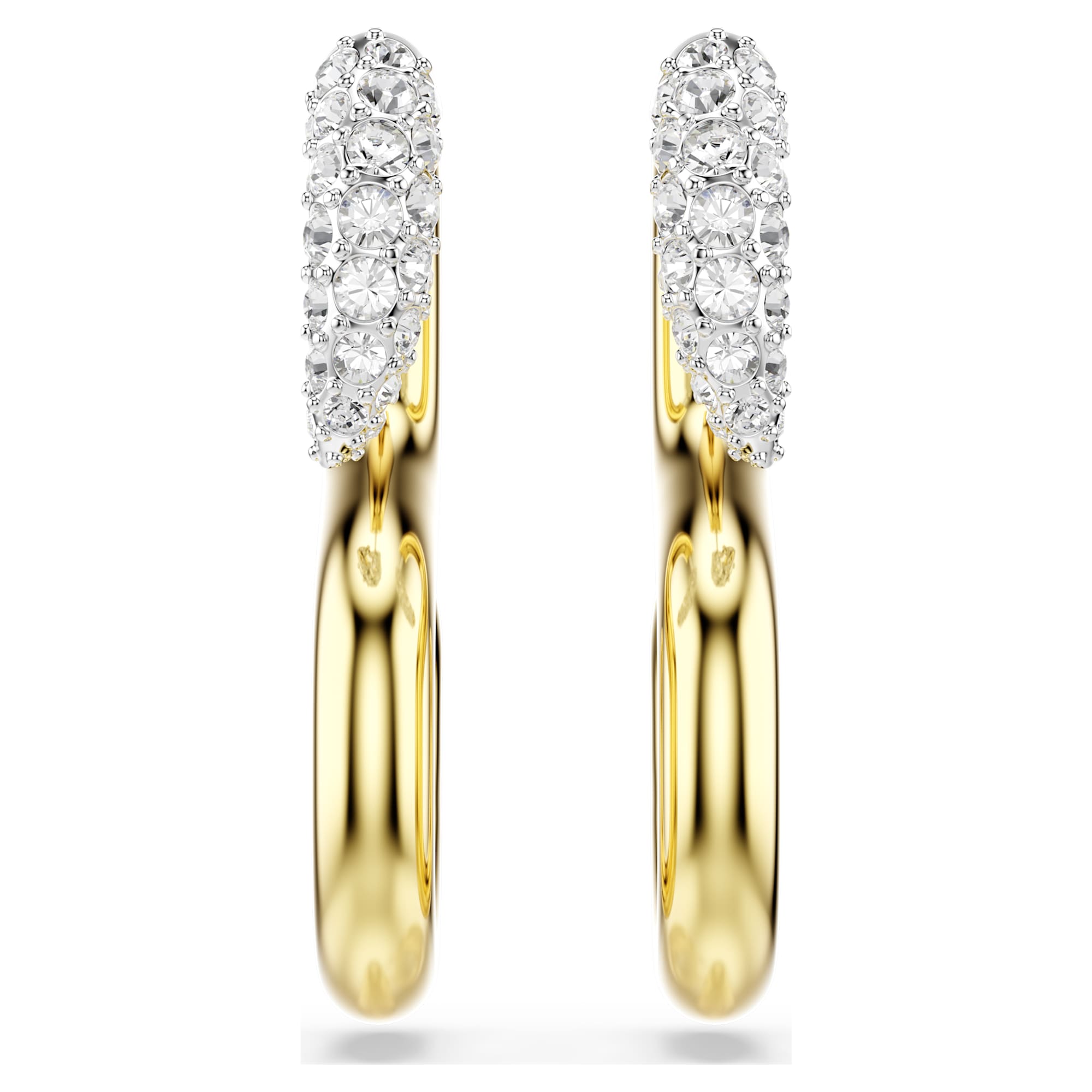 עגילי דקסטרה חיתוכים עגולים