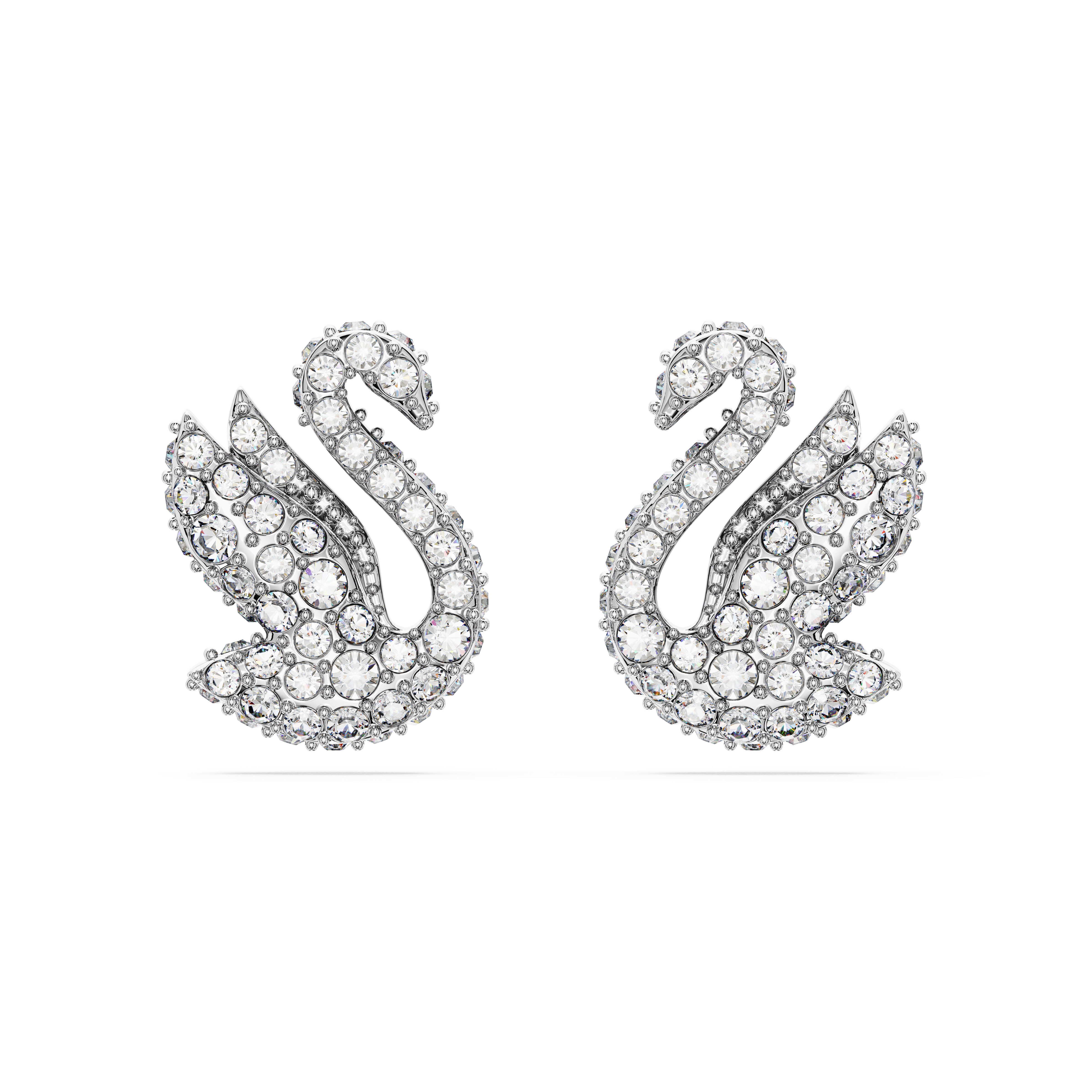 עגילים צמודים Iconic Swan בצבע לבן בציפוי רודיום