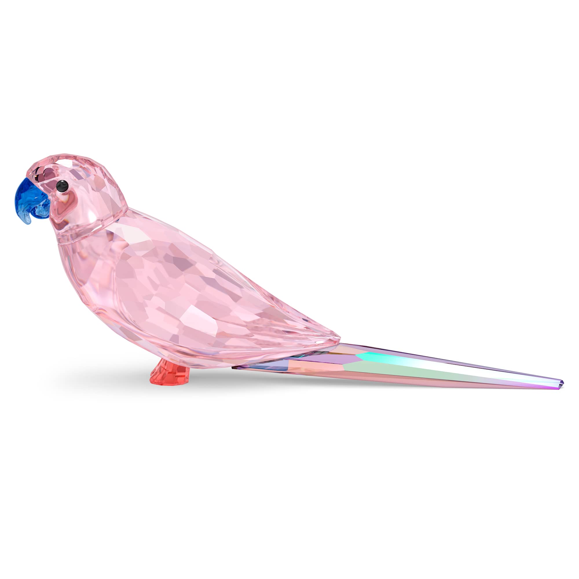 מניאטורות קריסטל Jungle Beats SWAROVSKI