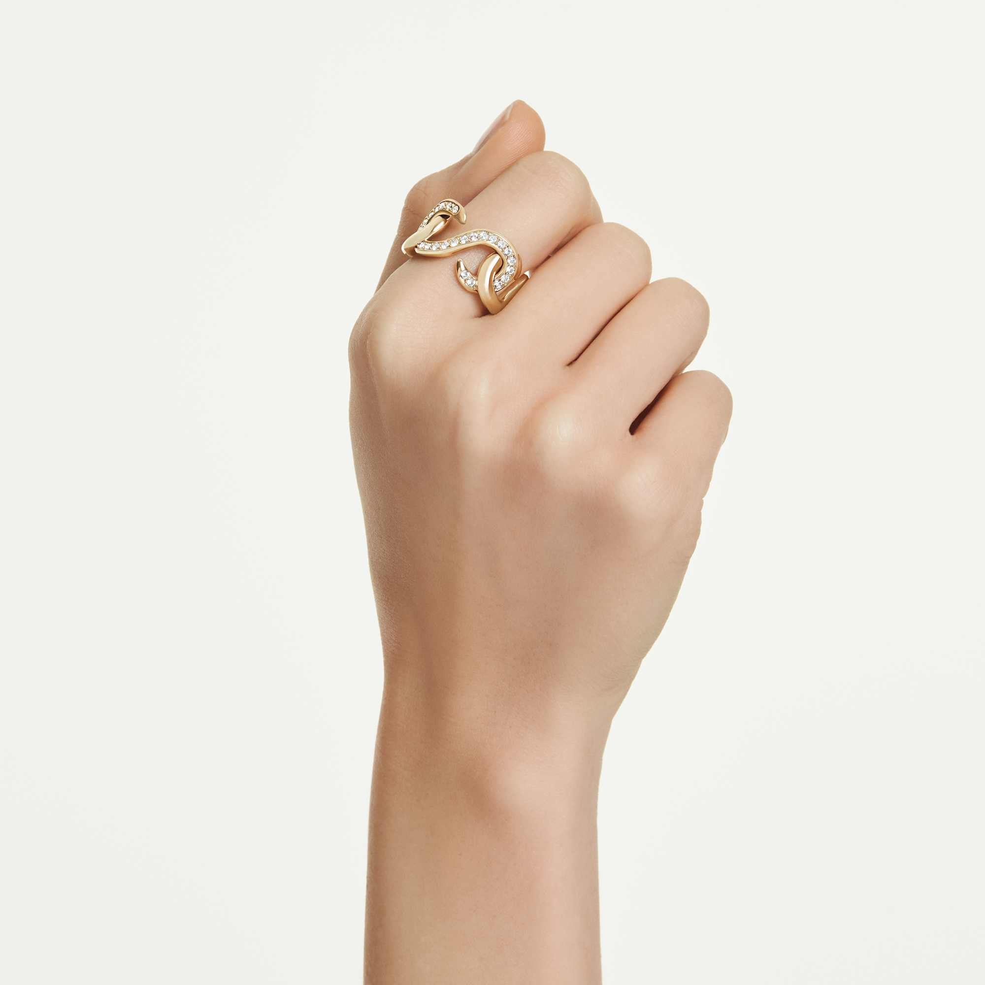 טבעת דקסטרה פתוחה חיתוכים עגולים